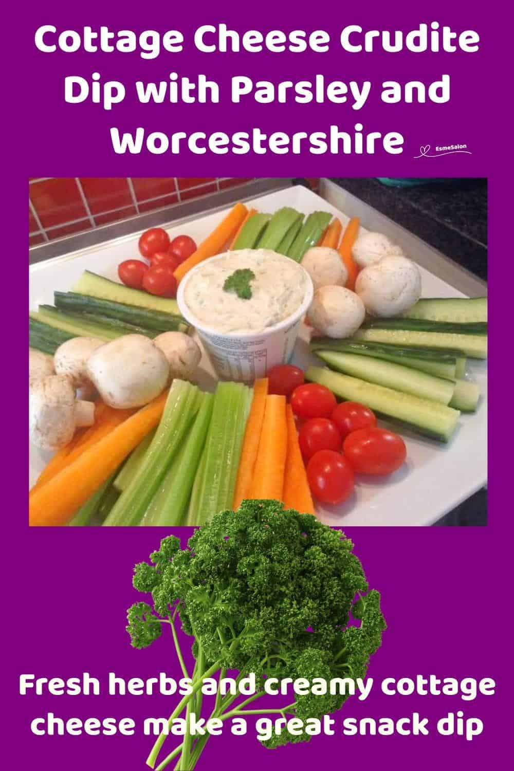 An image of a tub of Cottage Cheese Crudite Dip with fresh veggies arranged around it