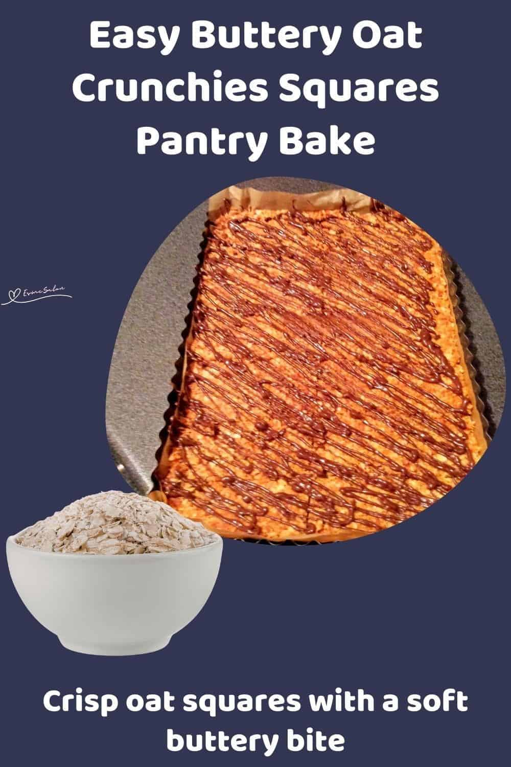 An image of a baking pan of Buttery Oat Crunchies Squares drizzled with chocolate