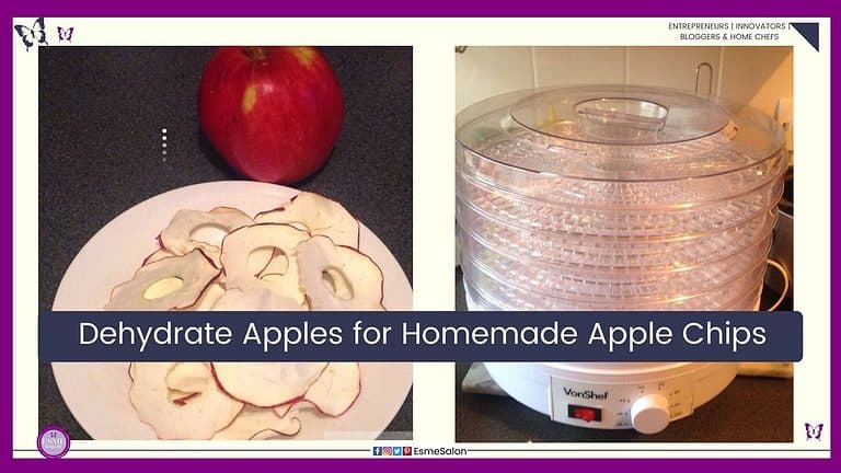 an image of a red apple as well as dehydrated Homemade Apple Chips on a white plate