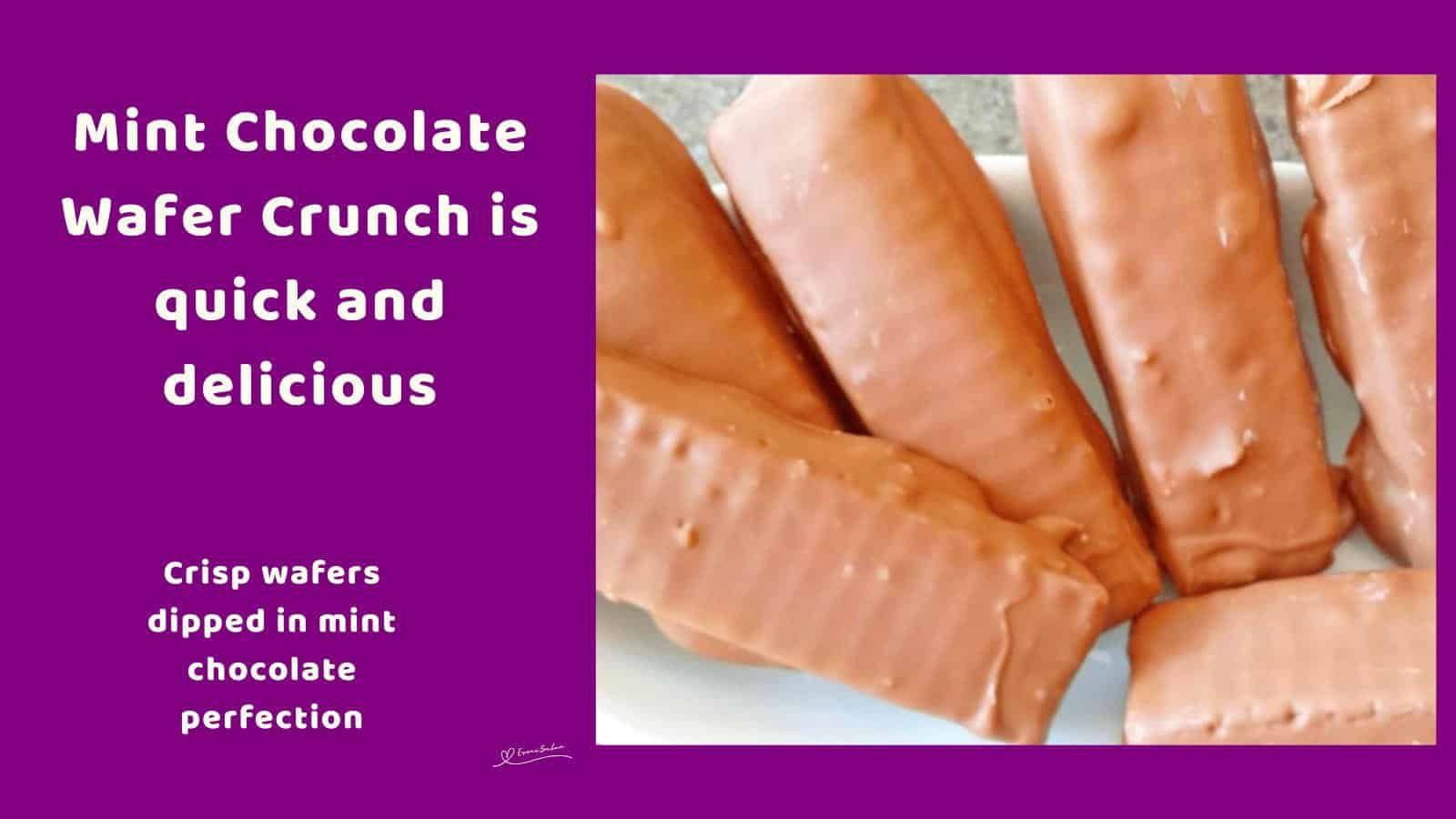 An image of Mint Chocolate Wafer Crunch Bars
