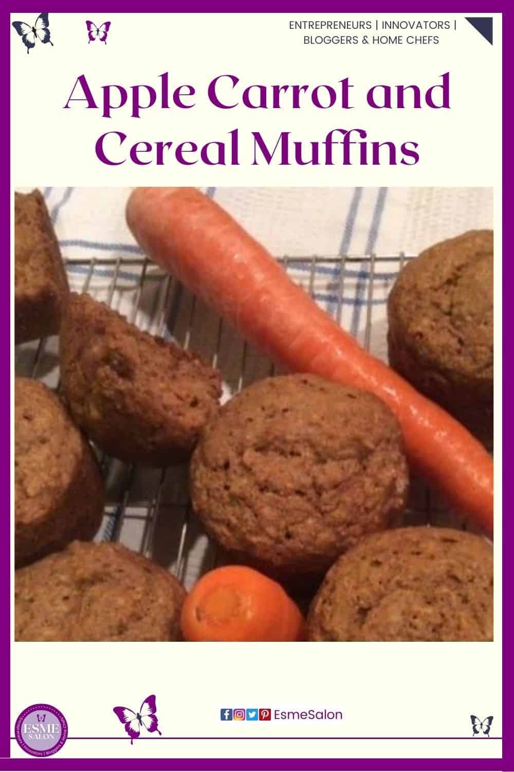 an image of Apple Carrot and Cereal Muffins with a raw carrot on the side