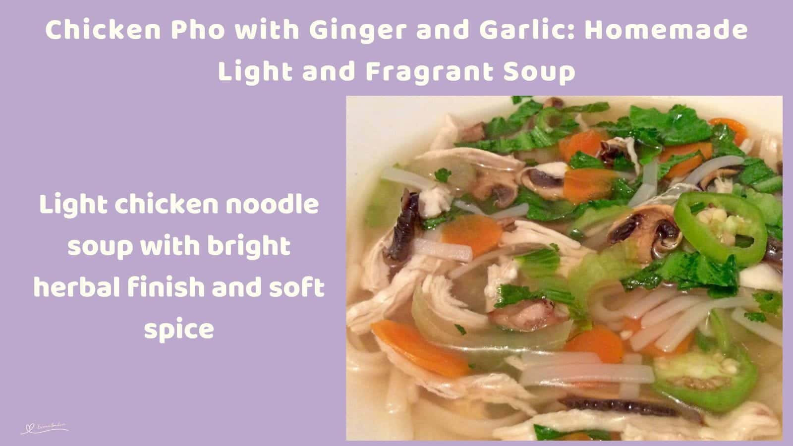 An image of a bowl of Chicken Pho with Ginger, Garlic, mushrooms and carrots