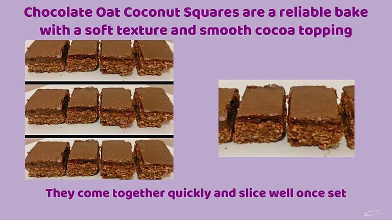 An image of cubes of Chocolate Oat Coconut Squares with Chocolate topping