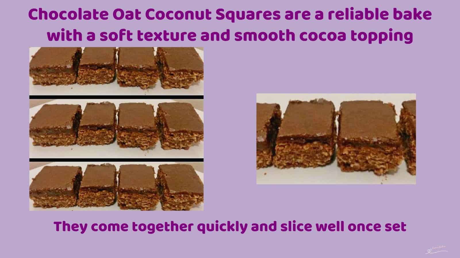 An image of cubes of Chocolate Oat Coconut Squares with Chocolate topping