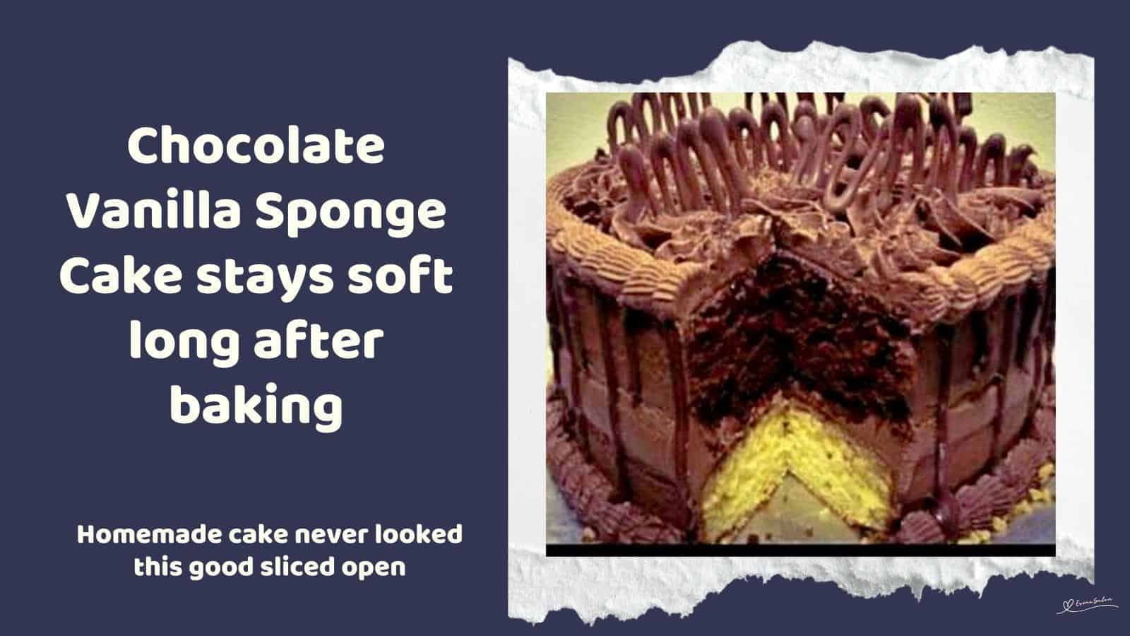 An image of a heart shaped Chocolate Vanilla Sponge Cake with rich chocolate icing