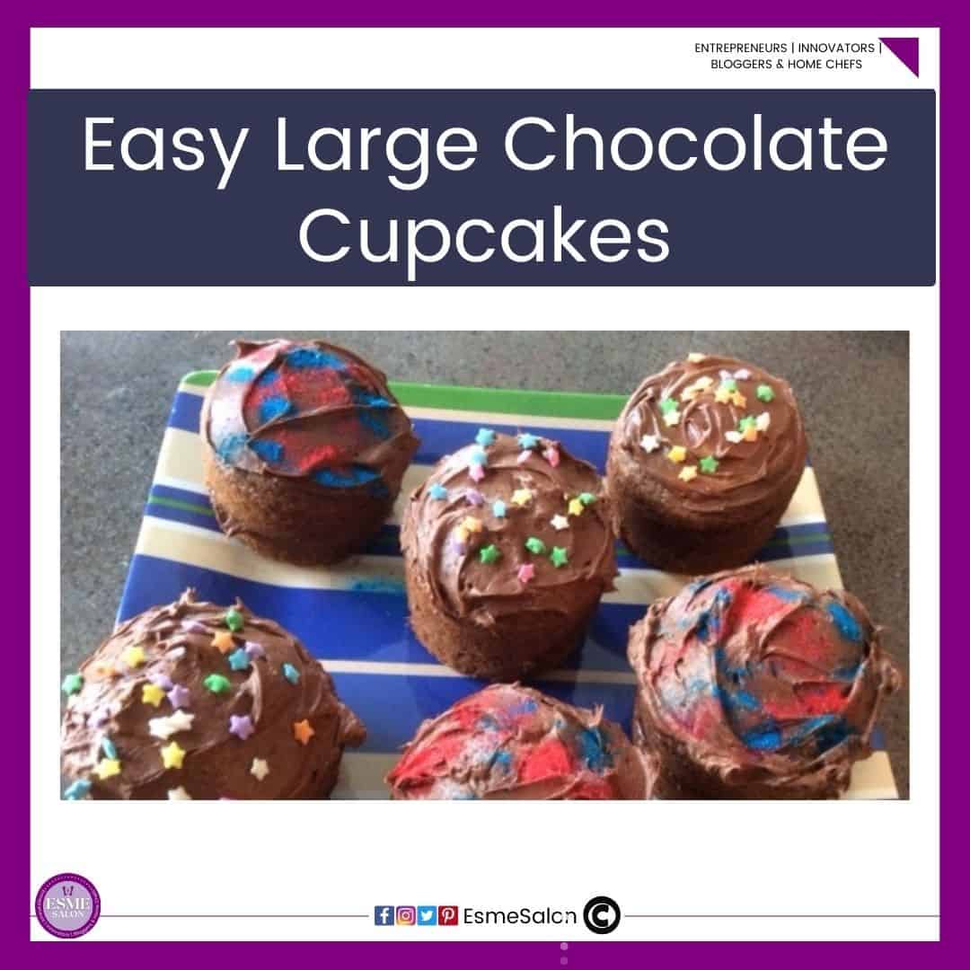 an image of 6 Large Chocolate Cupcakes on a square white and blue striped platter. Cupcakes covered with chocolate topping and colored sprinkles