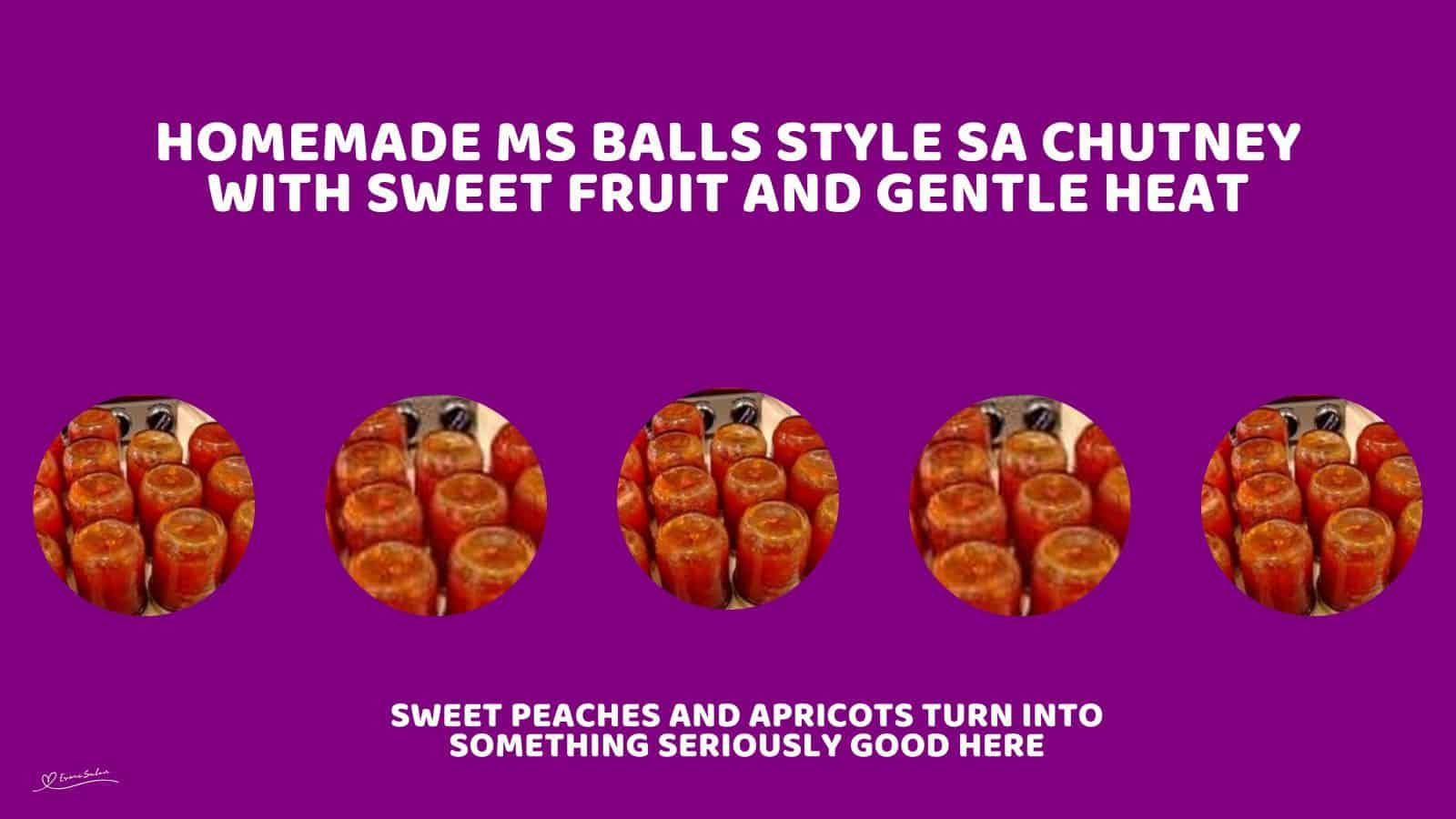 An image of canned Ms Balls Style SA Chutney