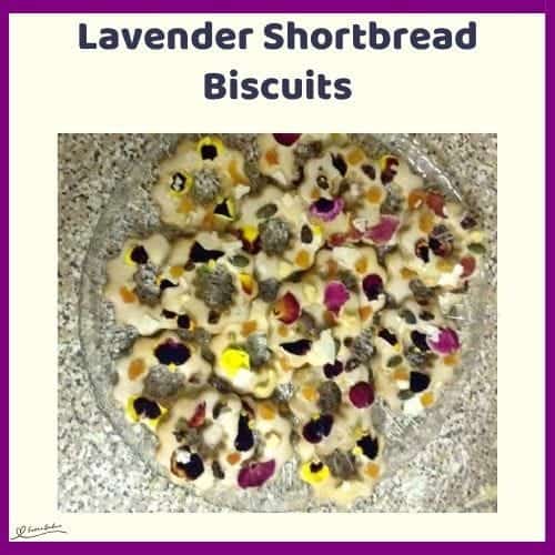 An image of a glass dish filled with Lavender Shortbread Biscuits