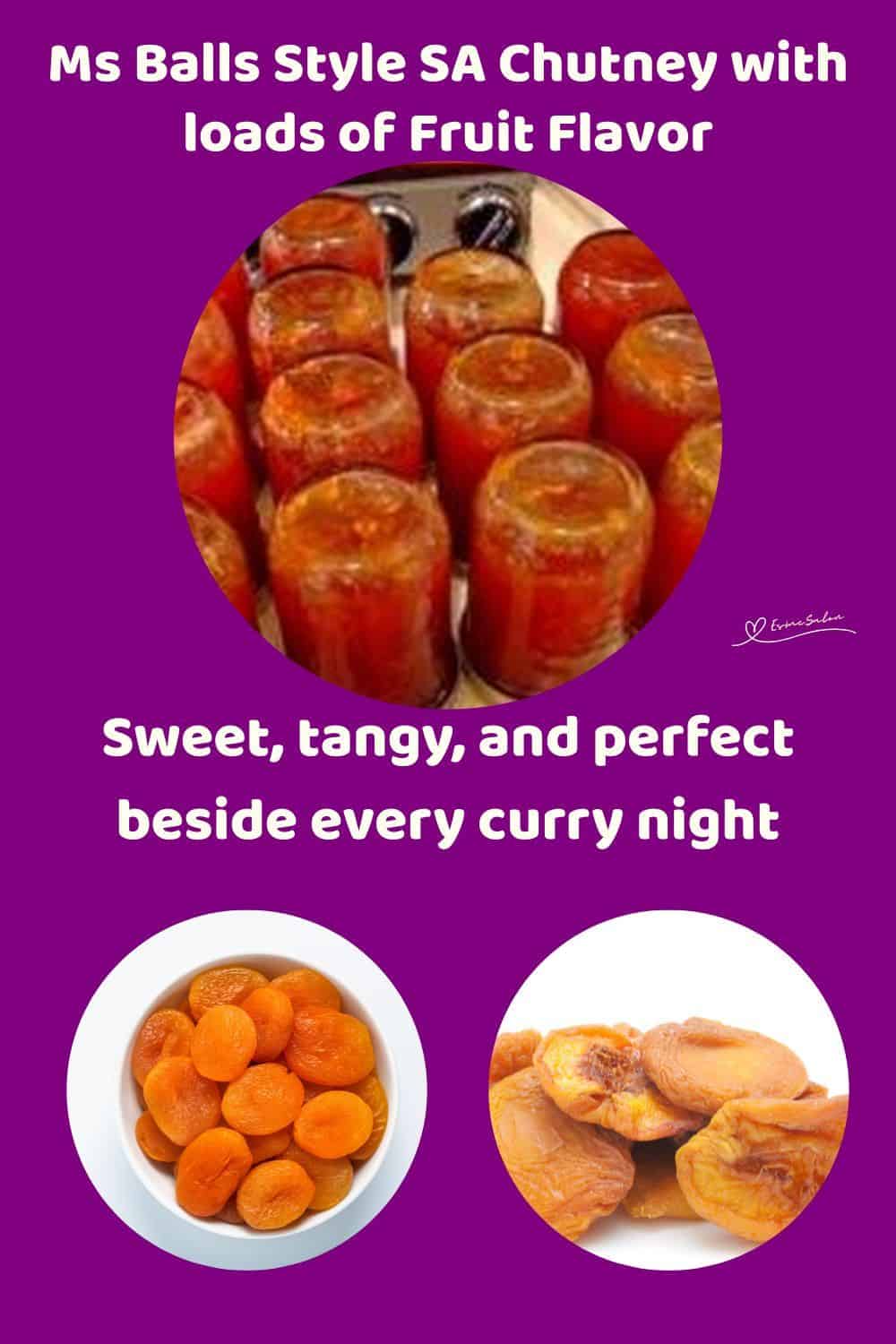 An image of canned Ms Balls Style SA Chutney