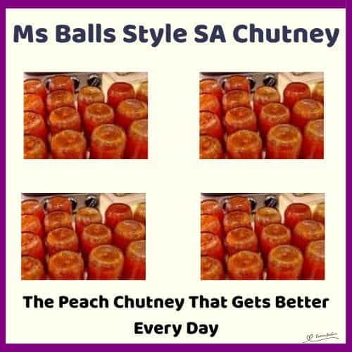 An image of canned Ms Balls Style SA Chutney
