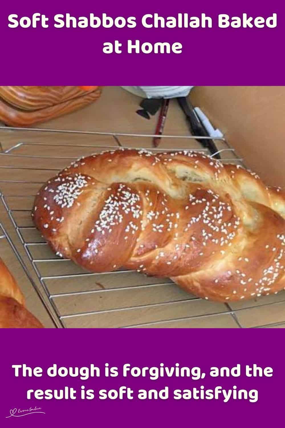 An image of 2 Braided Shabbos Challahs on a cooling rack