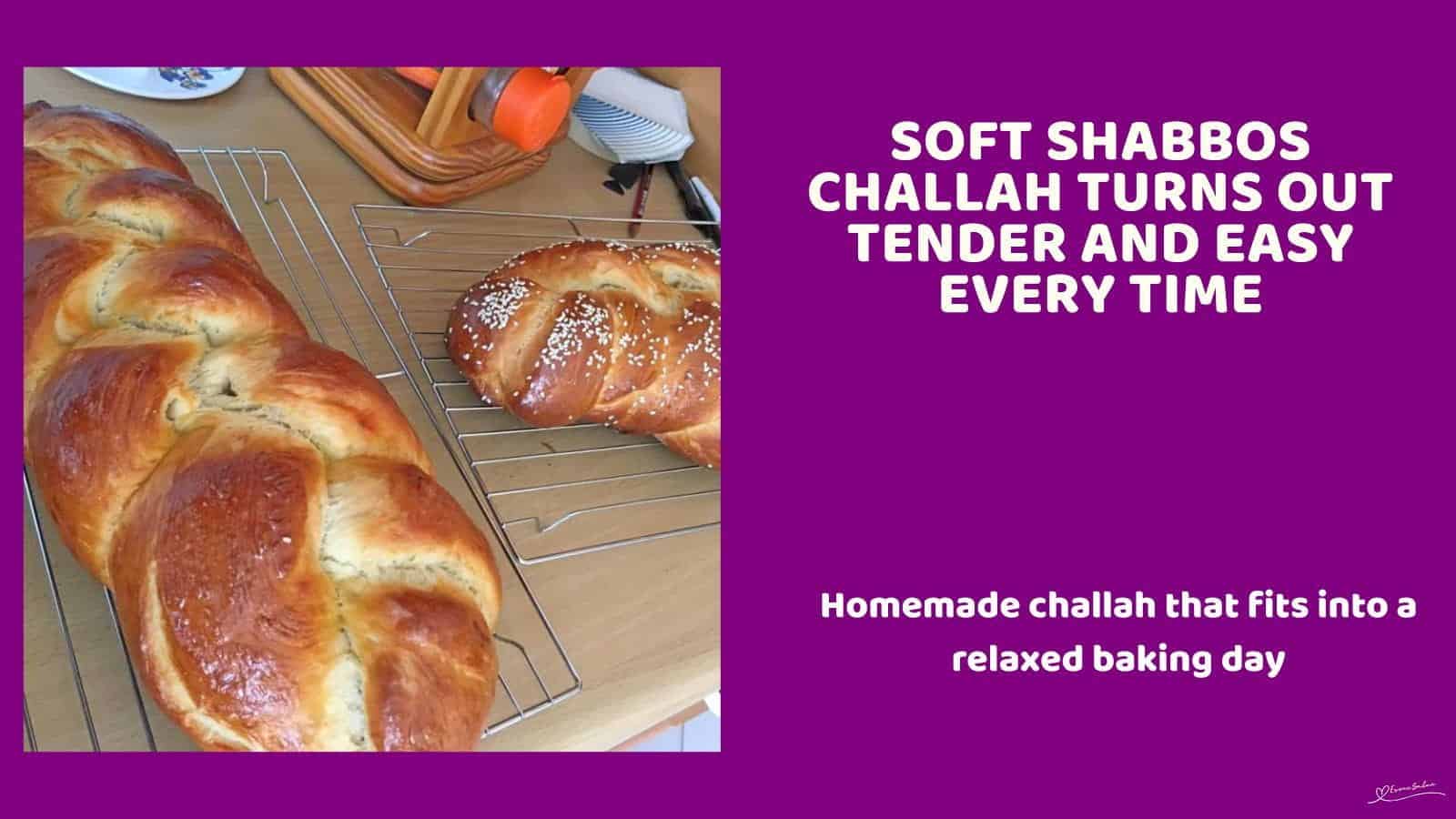 An image of 2 Braided Shabbos Challahs on a cooling rack