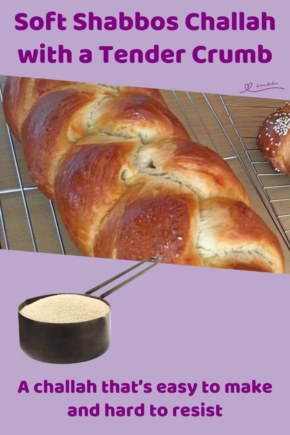 An image of 2 Braided Shabbos Challahs on a cooling rack