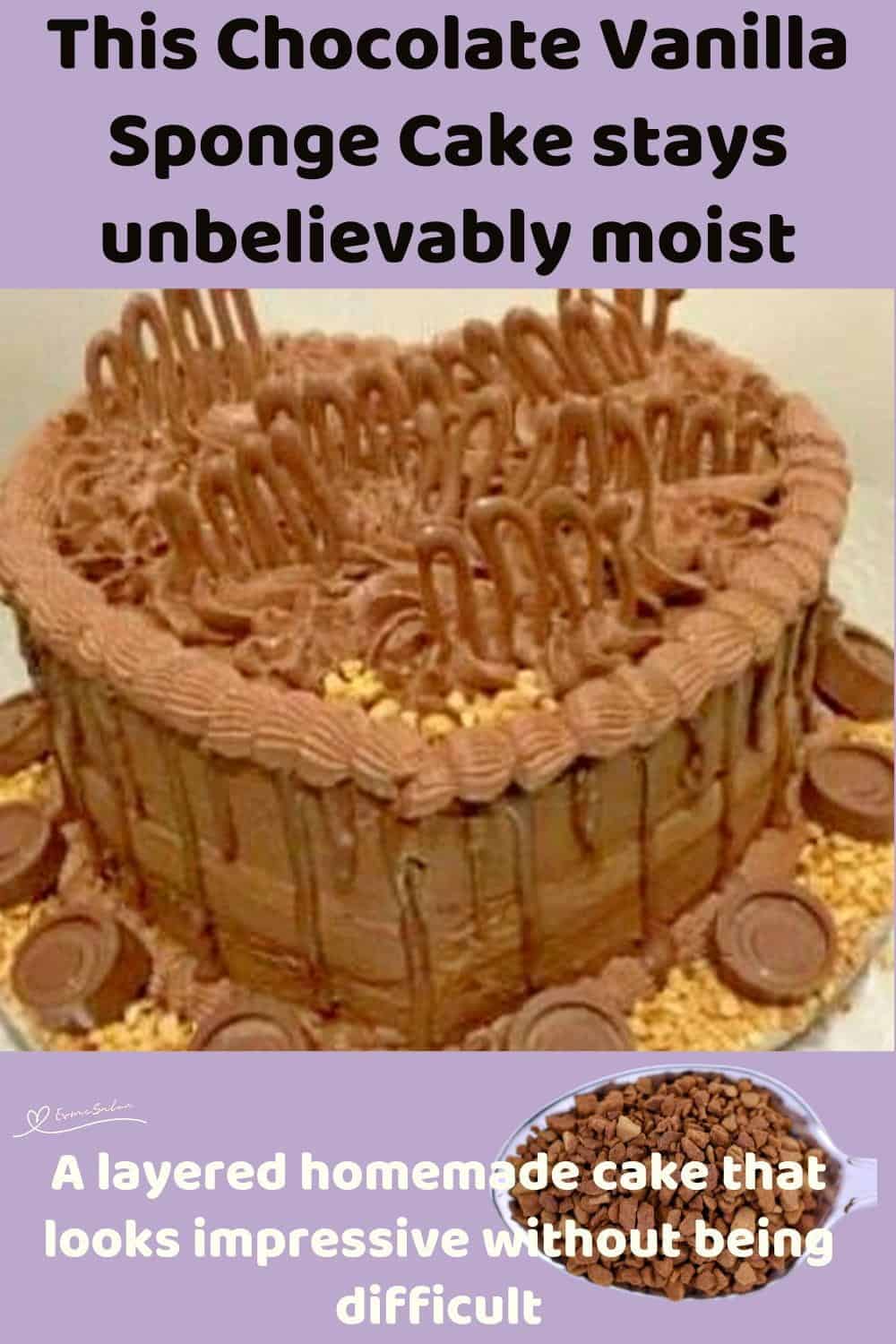 An image of a heart shaped Chocolate Vanilla Sponge Cake with rich chocolate icing