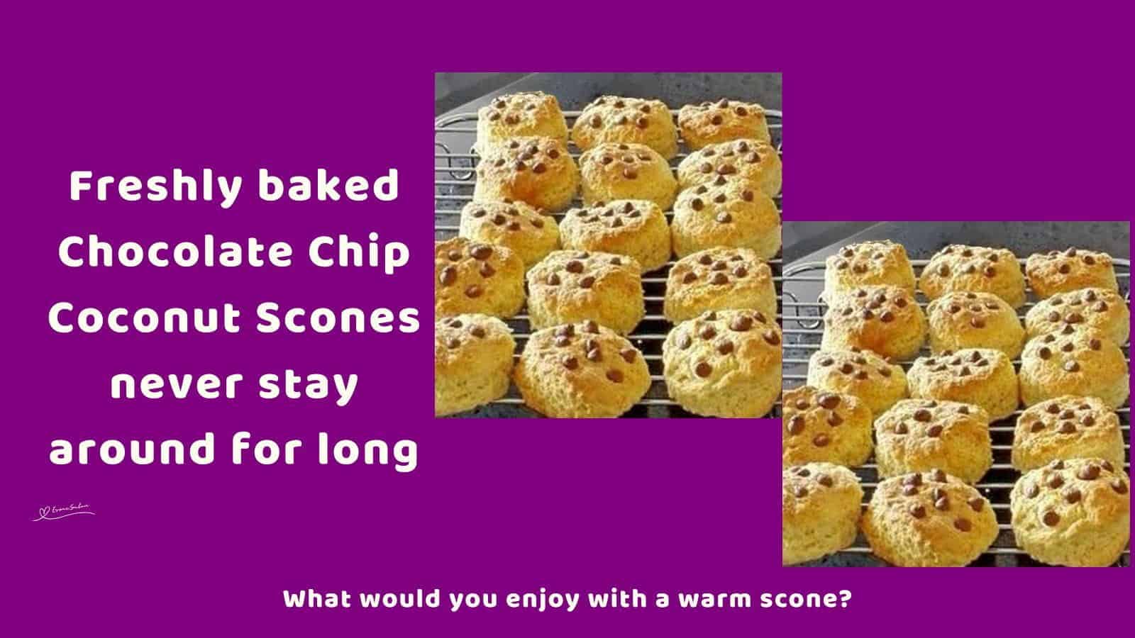 An image of a dozen of Chocolate Chip Coconut Scones on a cooling wire