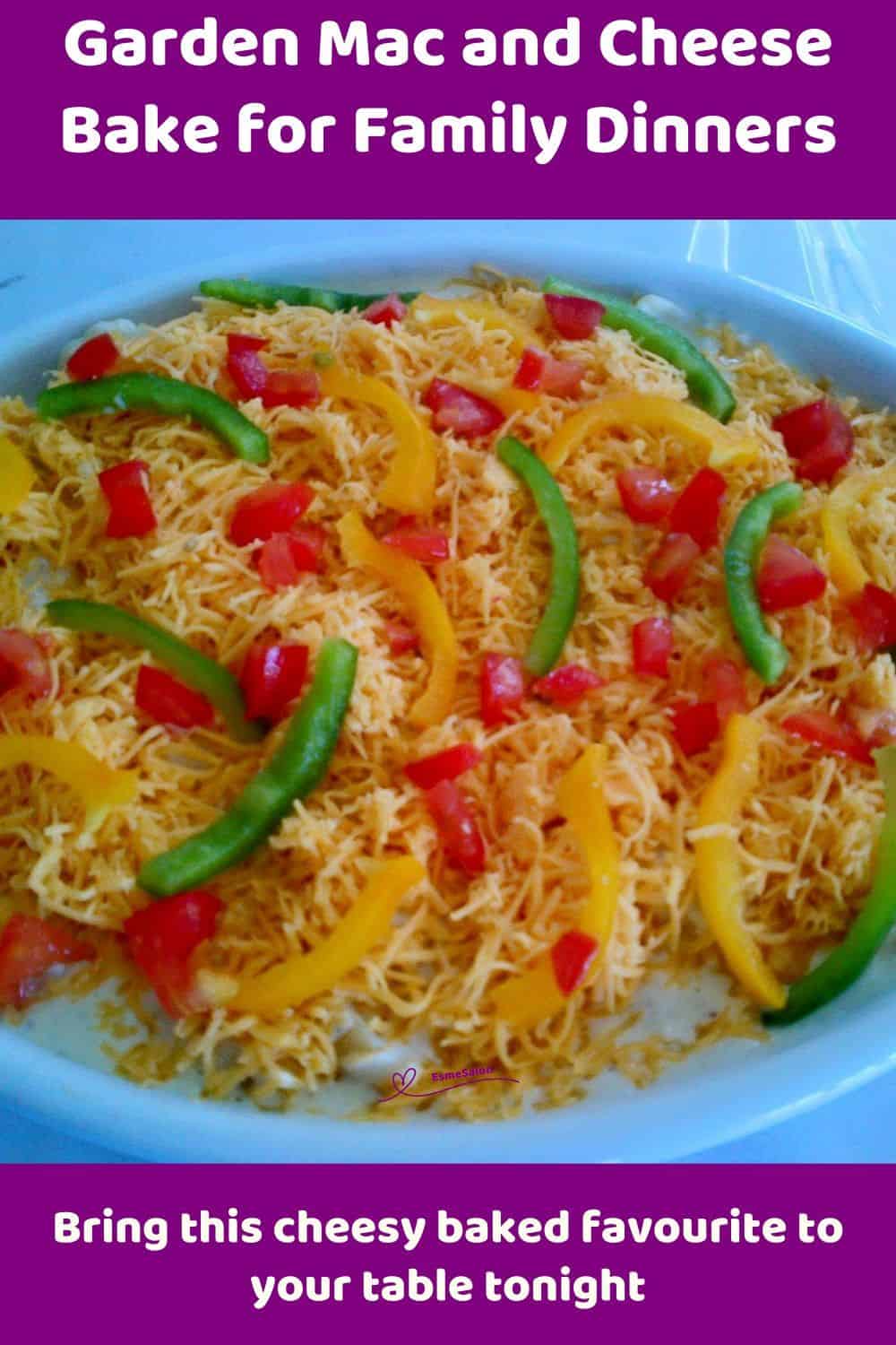 An image of a Garden Mac and Cheese Bake with Green and Yellow Peppers