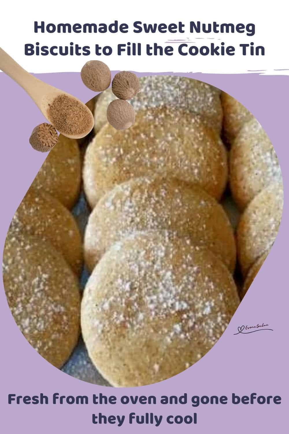 An image of Sweet Nutmeg Biscuits with a sugar dusting