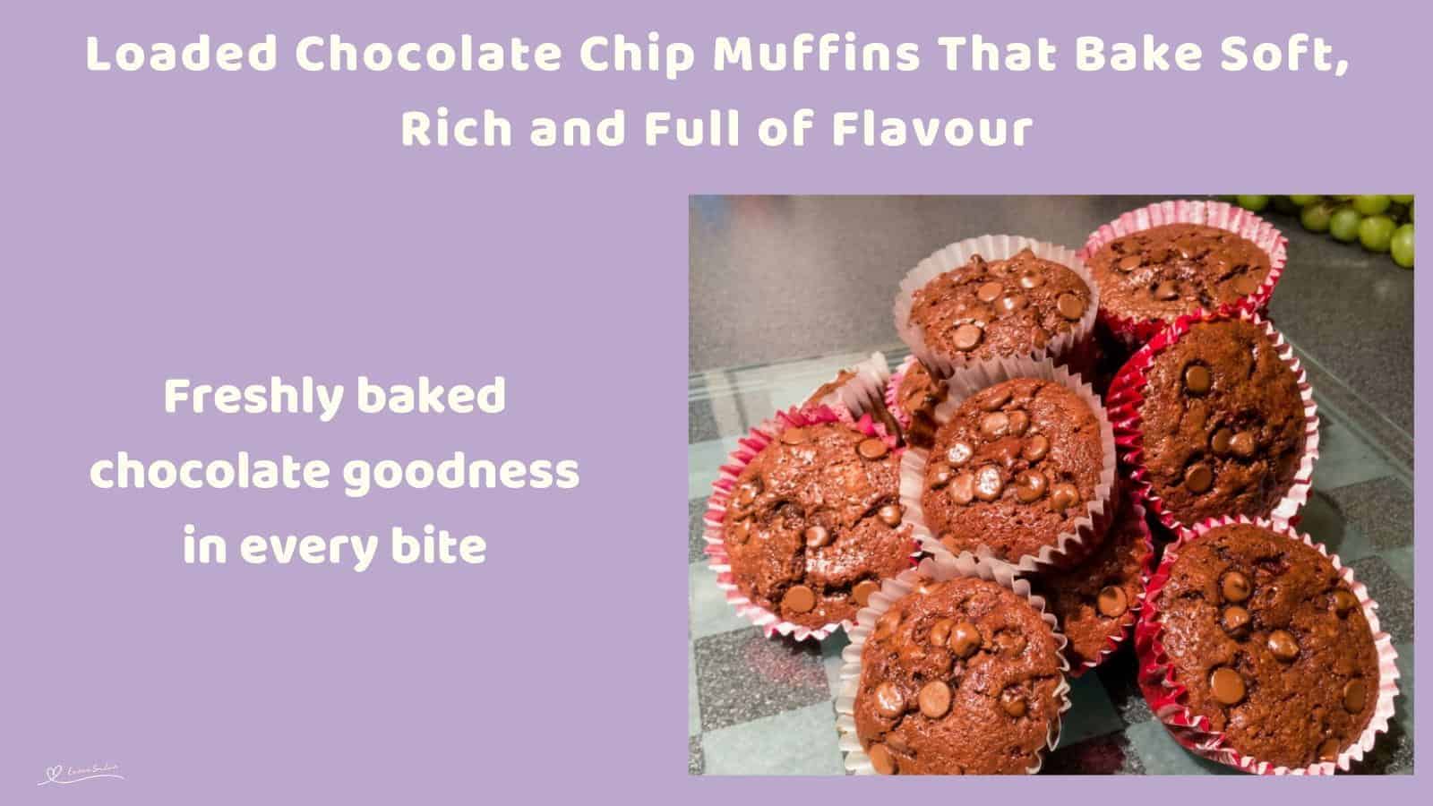 An image of Chocolate Chip Muffins in cupcake paper holders and decorated with chocolate chips