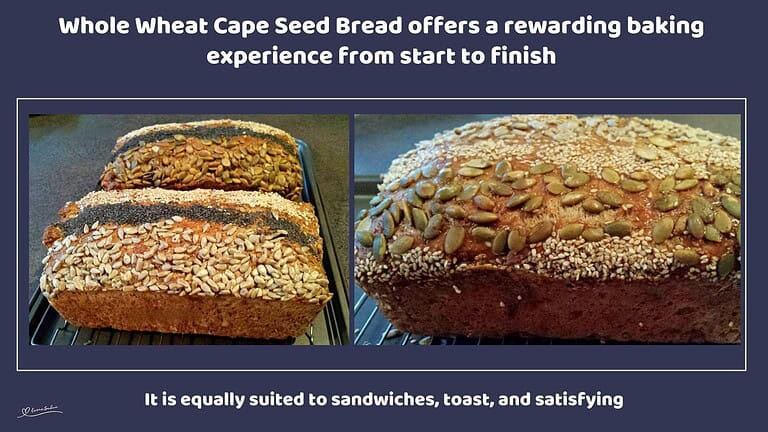 An image Whole Wheat Cape Seed Bread with Sunflower, Pumpkin, and Poppy Seeds