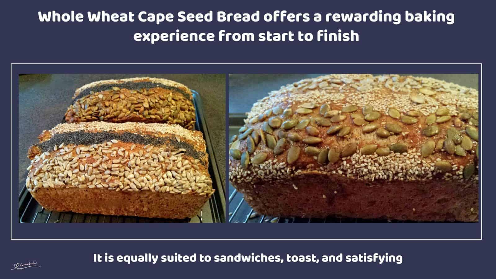 An image Whole Wheat Cape Seed Bread with Sunflower, Pumpkin, and Poppy Seeds