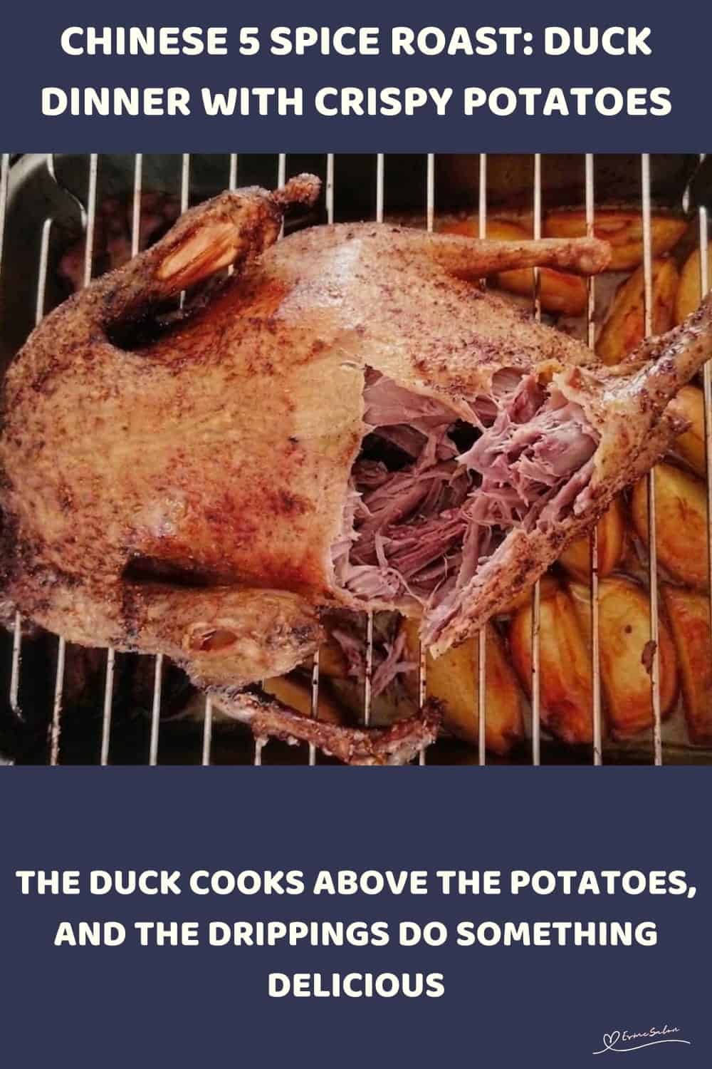 An image of a Duck roasting with potatoes underneath the rack