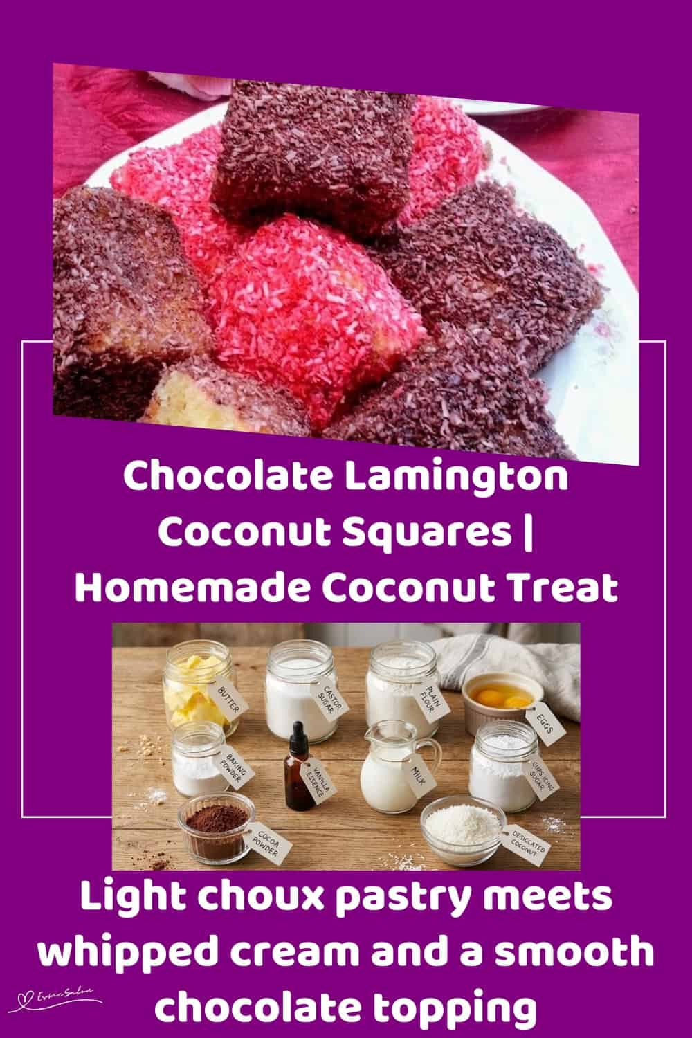 An image of a plate with Chocolate and Red colored Lamington Coconut Squares