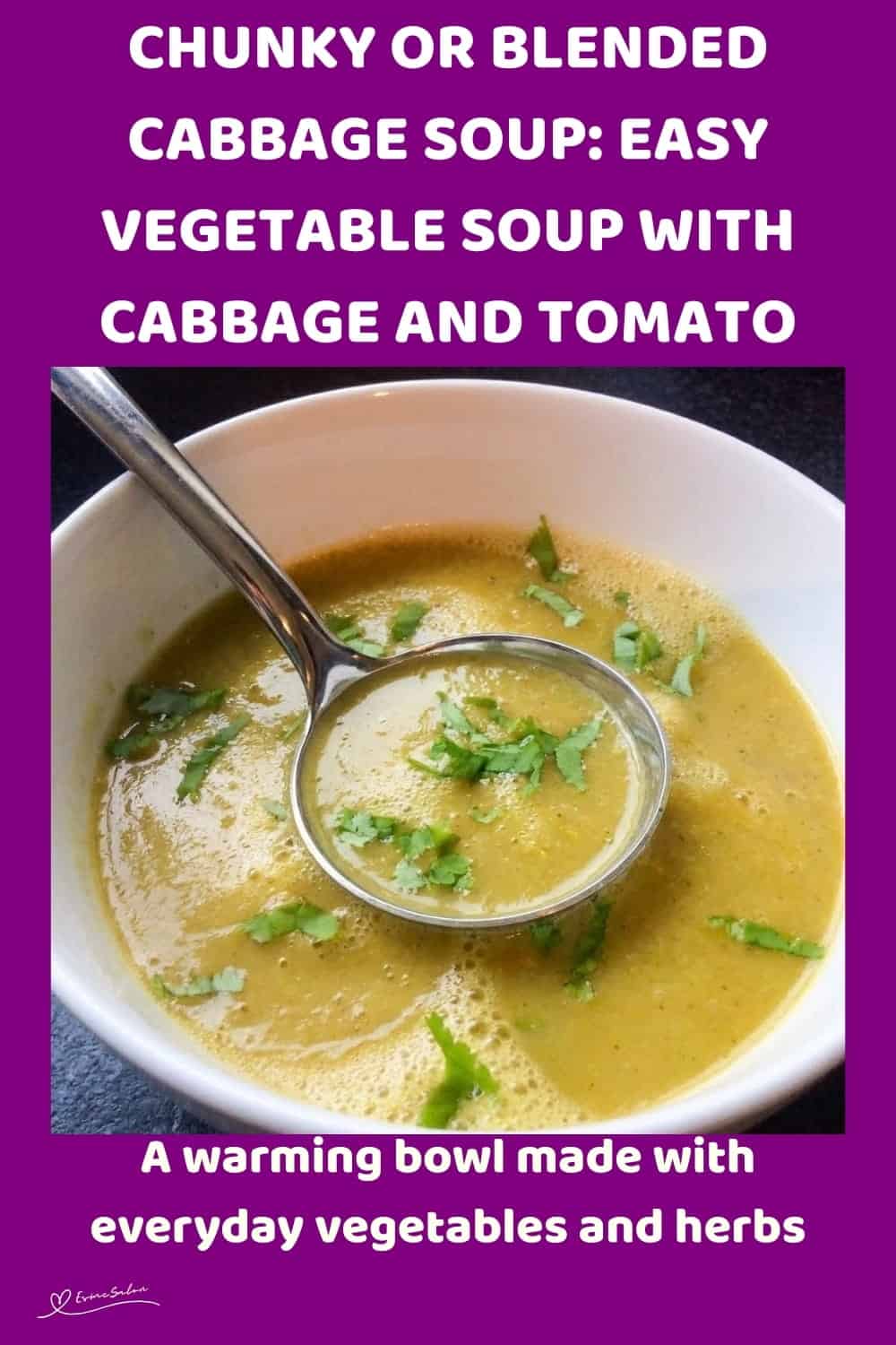 An image of a bowl of Chunky or Blended Cabbage Soup