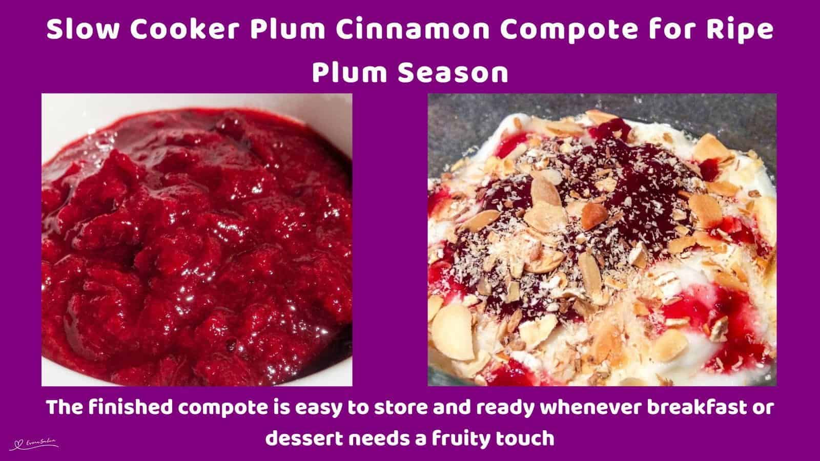 An image of a bowl of Plum Cinnamon Compote made of ripe plums, cinnamon, vanilla, ginger, and honey