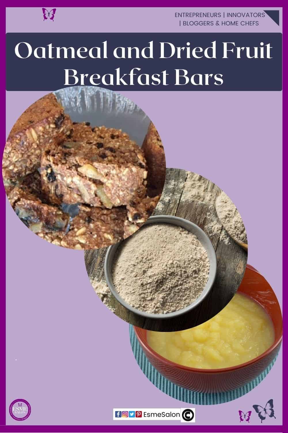 an image of blocks of Oatmeal and Dried Fruit Breakfast Bars on a glass stand