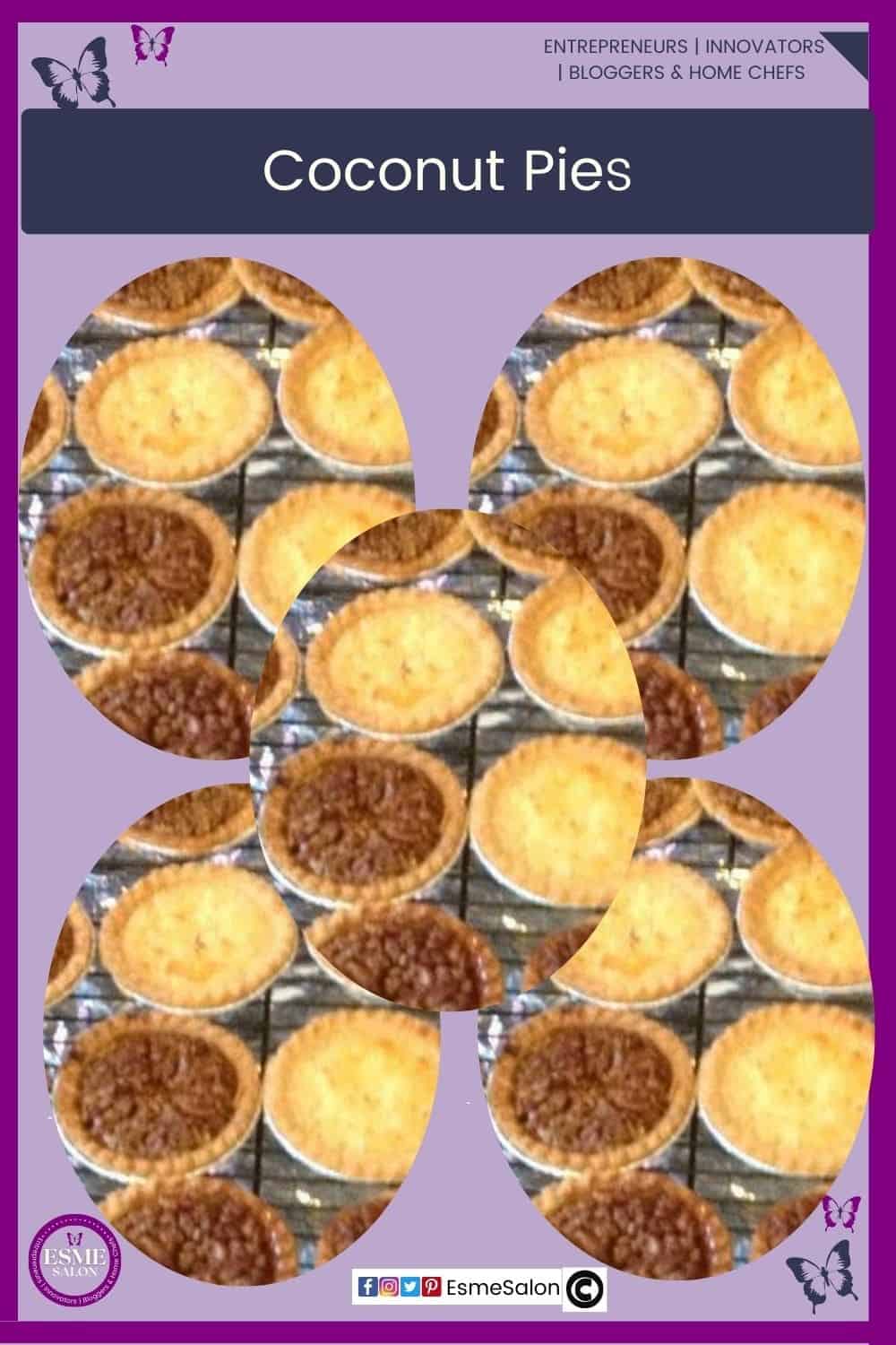 an image of mini Coconut Pies in store bought pie shells