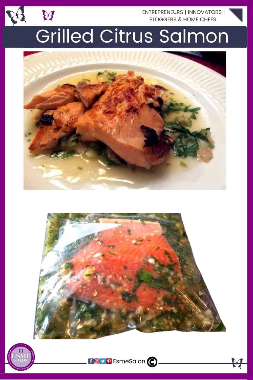 an image of Grilled Citrus Salmon with green plated as well as marinating in a Ziplog bag