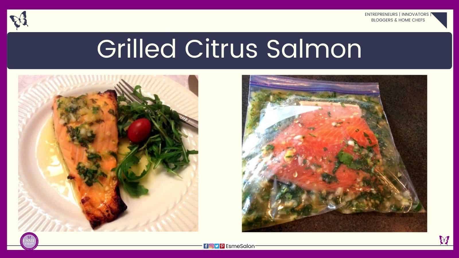 an image of Grilled Citrus Salmon with green plated as well as marinating in a Ziplog bag
