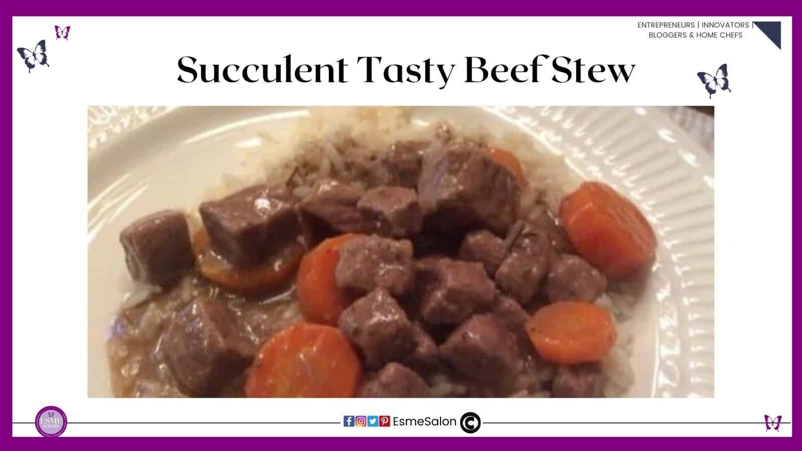an image of a plate ready for dinner with white rice, carrot slices and Succulent Tasty Beef Stew
