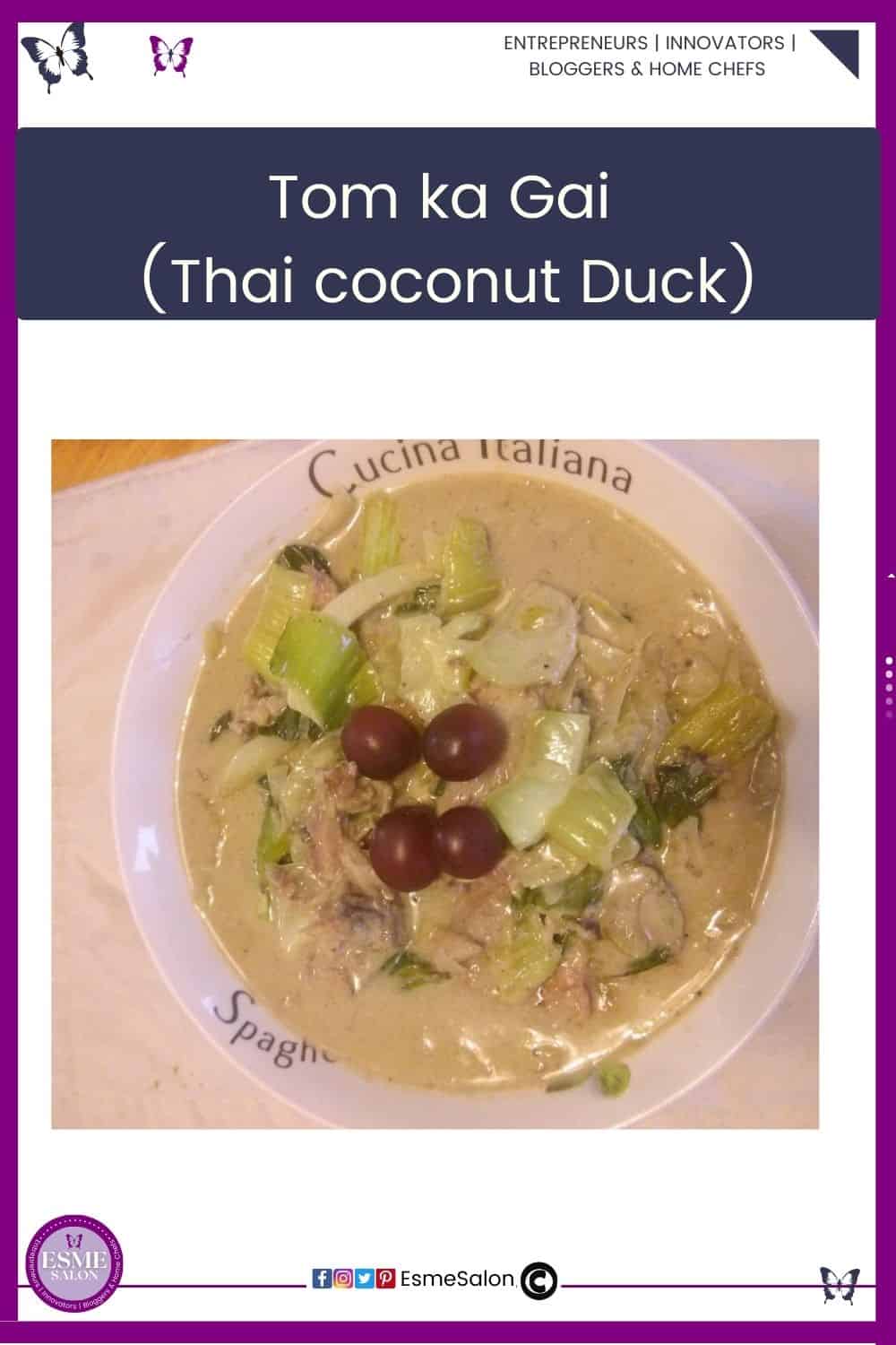 an image of a soup plate filled with Tom ka Gai (Thai coconut Duck) with Thai curry, coconut cream and cilantro