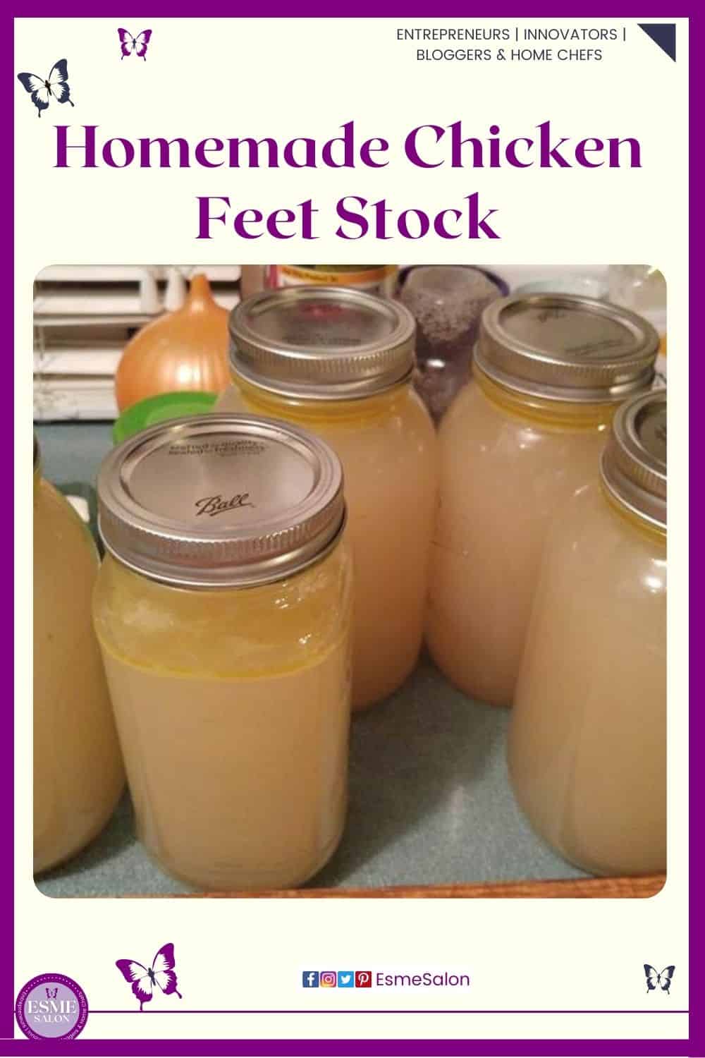 an image of bottled Homemade Chicken Feet Stock