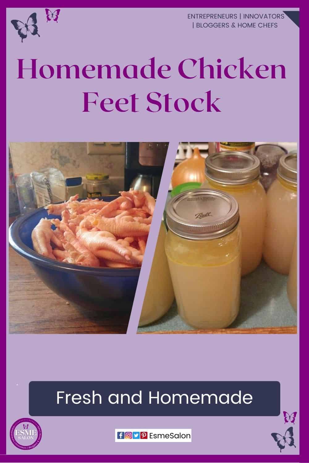 an image of fresh chicken feet and Homemade Chicken Feet Stock botled