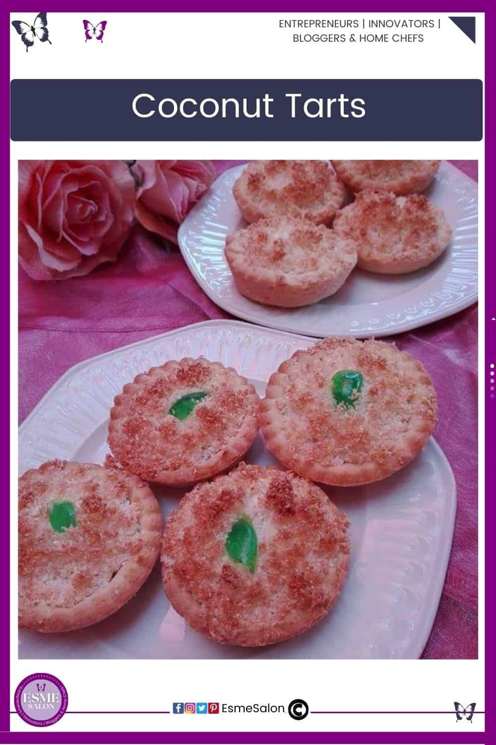 an image of small single serving Coconut Tarts filled with jam and topped with coconut and a sliver of red or green cherry