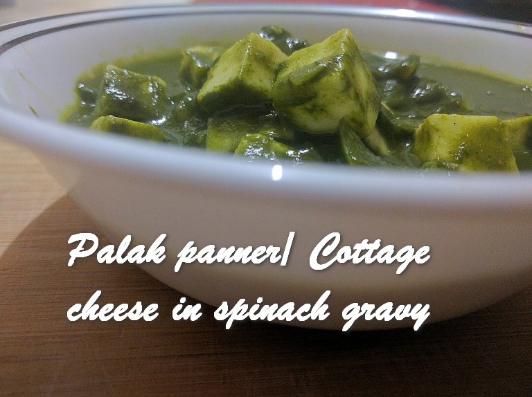 TRH Palak panner Cottage cheese in spinach gravy