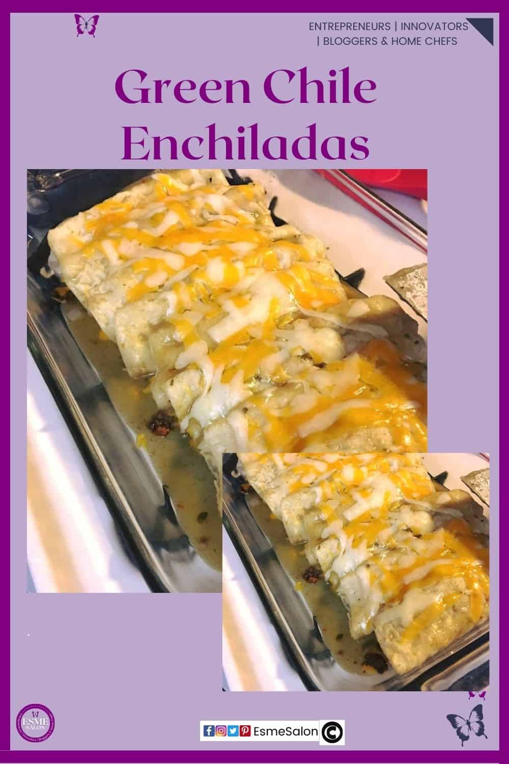 an image of Green Chile Enchiladas in a metal dish with lots of extra cheese