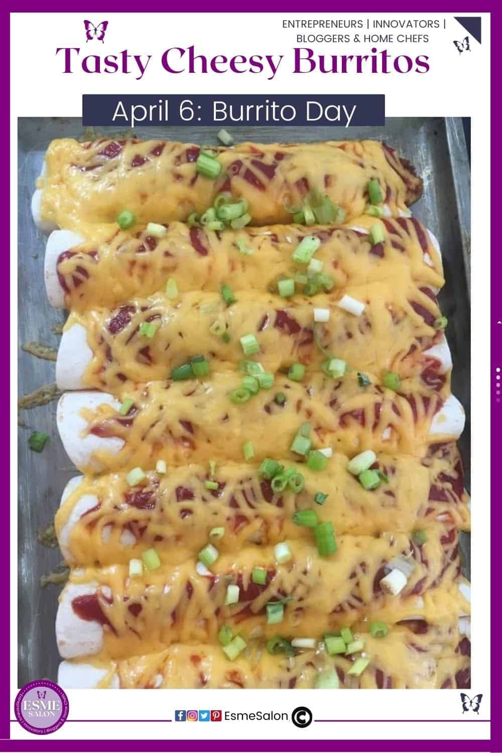 an image of Cheesy Burritos ready with lots of grated cheese