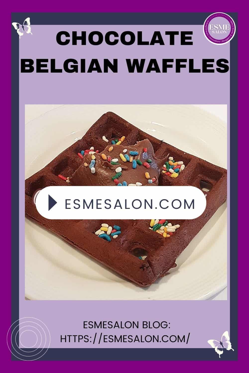 An image of a Chocolate Belgian Waffles with sprinkles