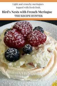 A French Meringue in the form of a birds nest with