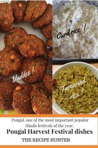 Pongal Harvest Festival