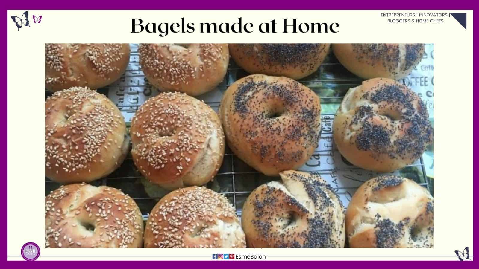 an image of bagels with sesame and poppy seeds