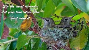 SENIOR SALON ROUNDUP: July 2 - 6, 2018