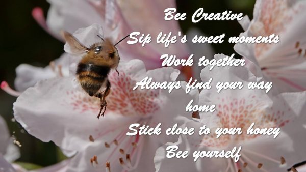 Bee Creative Sip Life's sweet moments Work together Always find your way home Stick close to your honey Bee yourself