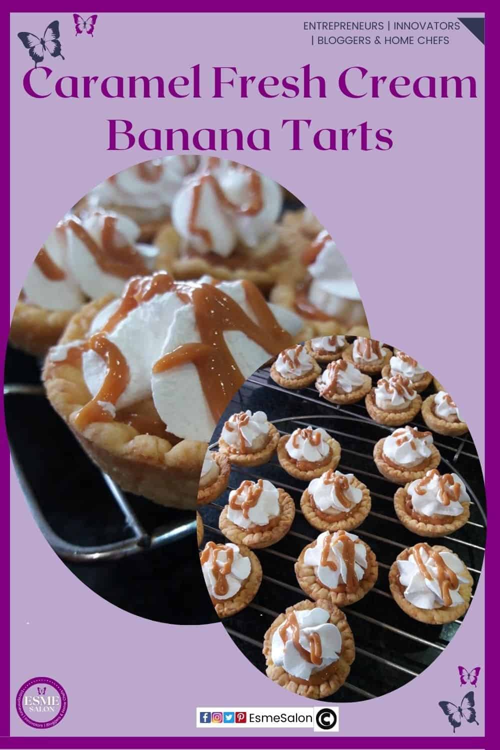 an image of mini tartlets in casing with banana filling and cream and caramel topping