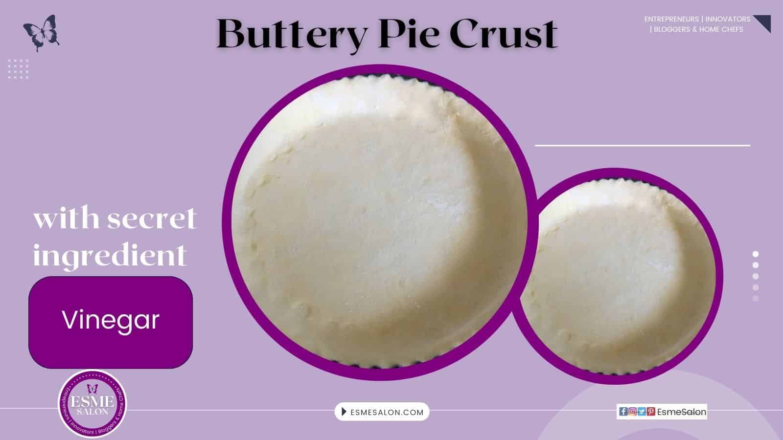 An image of a single Buttery Pie Crust with Vinegar