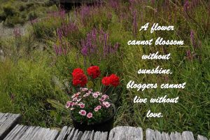 A flower cannot blossom without sunshine, bloggers cannot live without love.