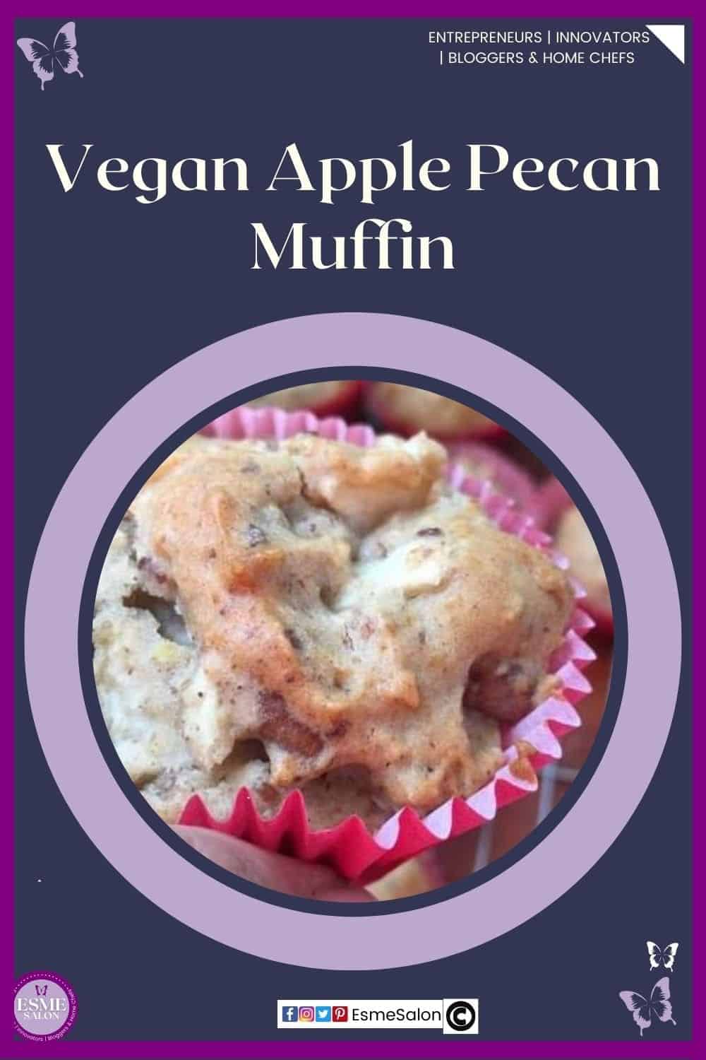 an image of a single muffin in a pink cupcake holder studded with Pecans